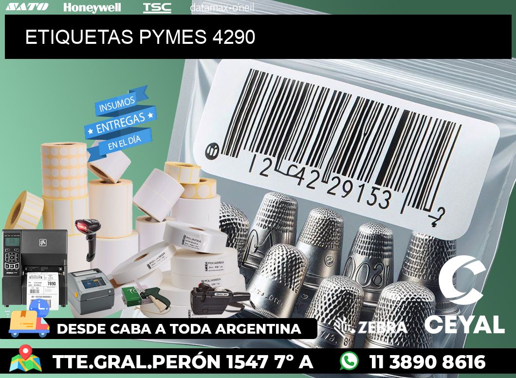 ETIQUETAS PYMES 4290