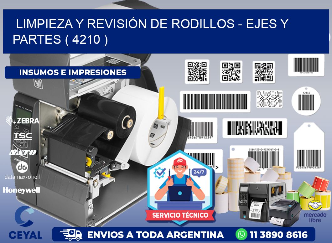 LIMPIEZA Y REVISIÓN DE RODILLOS - EJES Y PARTES ( 4210 )