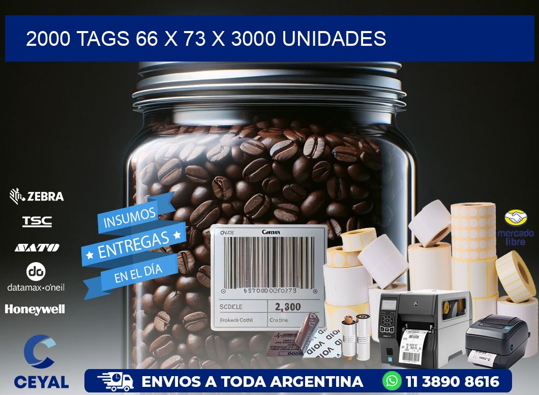 2000 TAGS 66 x 73 X 3000 UNIDADES