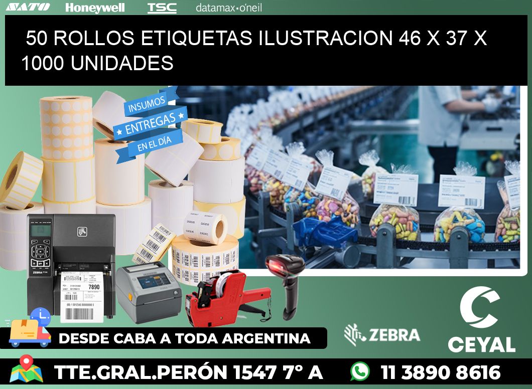 50 ROLLOS ETIQUETAS ILUSTRACION 46 x 37 X 1000 UNIDADES