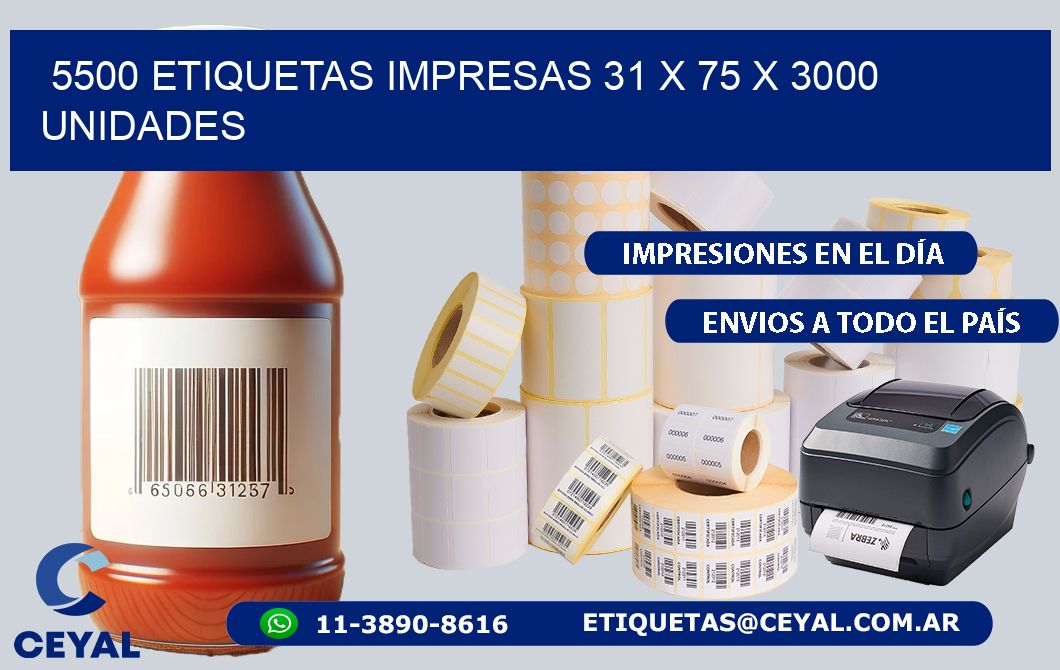 5500 ETIQUETAS IMPRESAS 31 x 75 X 3000 UNIDADES