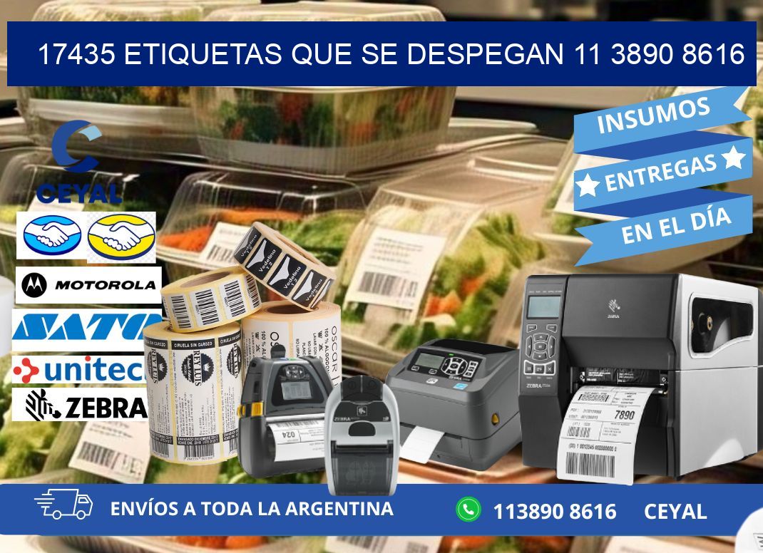 17435 ETIQUETAS QUE SE DESPEGAN 11 3890 8616