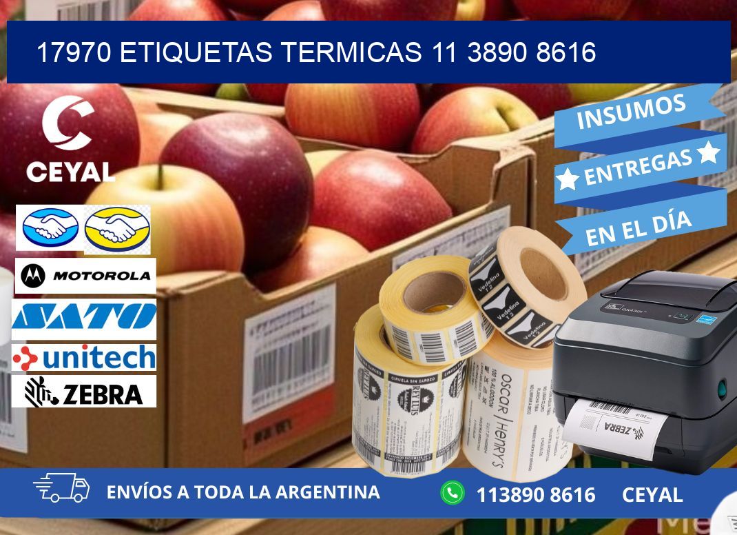 17970 ETIQUETAS TERMICAS 11 3890 8616