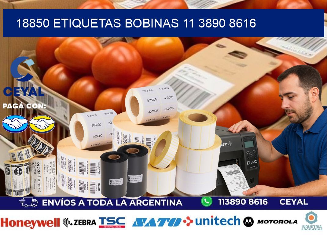 18850 ETIQUETAS BOBINAS 11 3890 8616