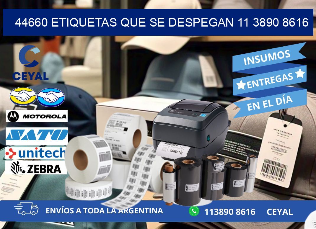 44660 ETIQUETAS QUE SE DESPEGAN 11 3890 8616