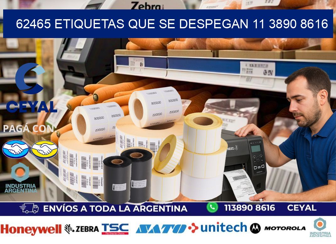 62465 ETIQUETAS QUE SE DESPEGAN 11 3890 8616