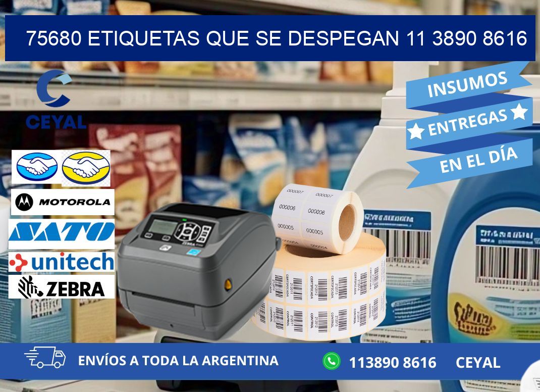 75680 ETIQUETAS QUE SE DESPEGAN 11 3890 8616