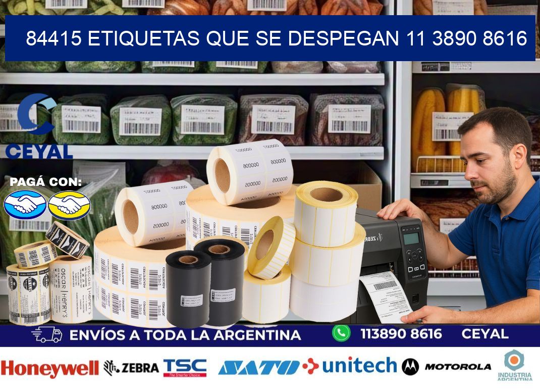 84415 ETIQUETAS QUE SE DESPEGAN 11 3890 8616