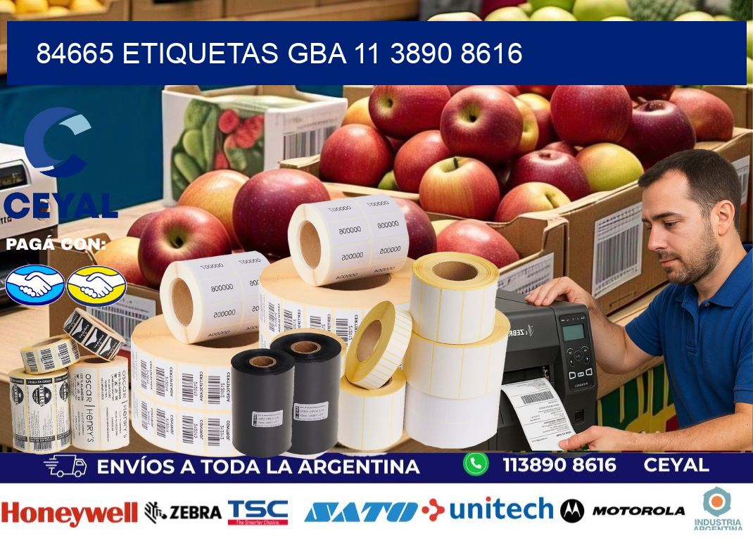 84665 ETIQUETAS GBA 11 3890 8616