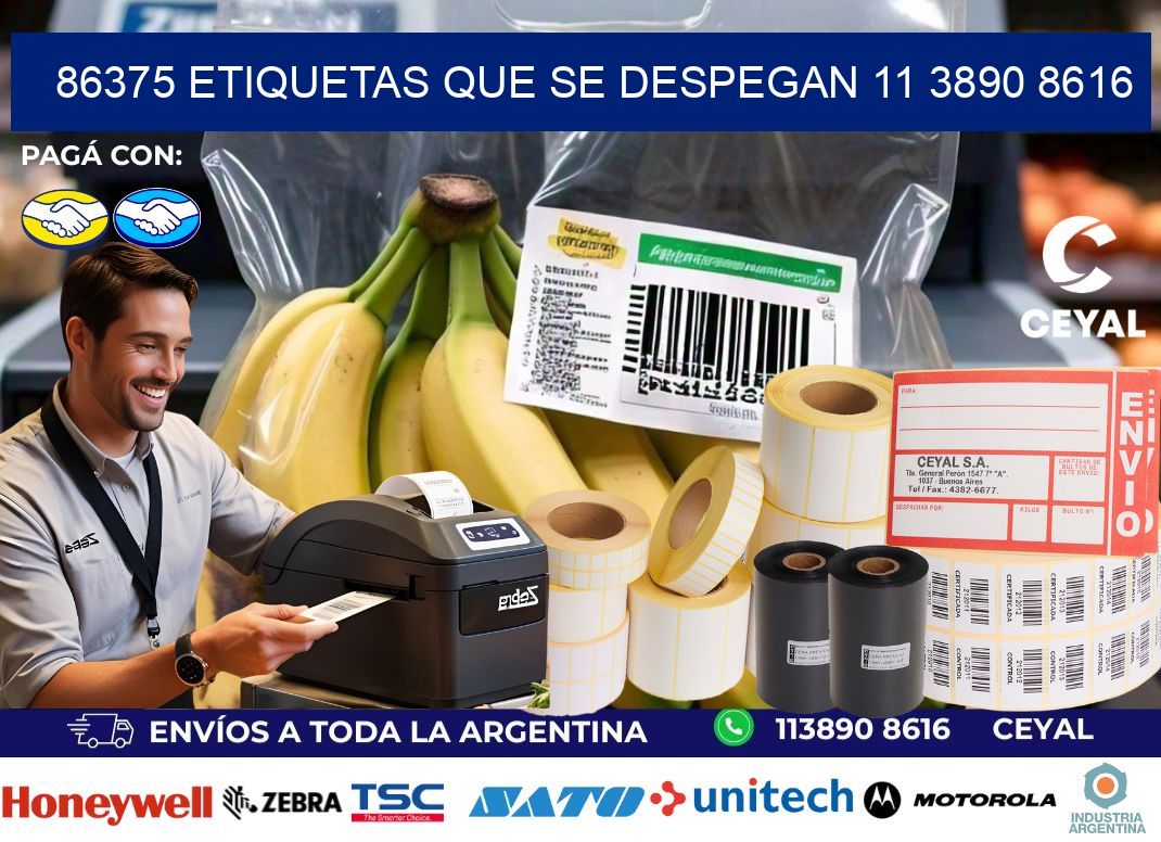 86375 ETIQUETAS QUE SE DESPEGAN 11 3890 8616