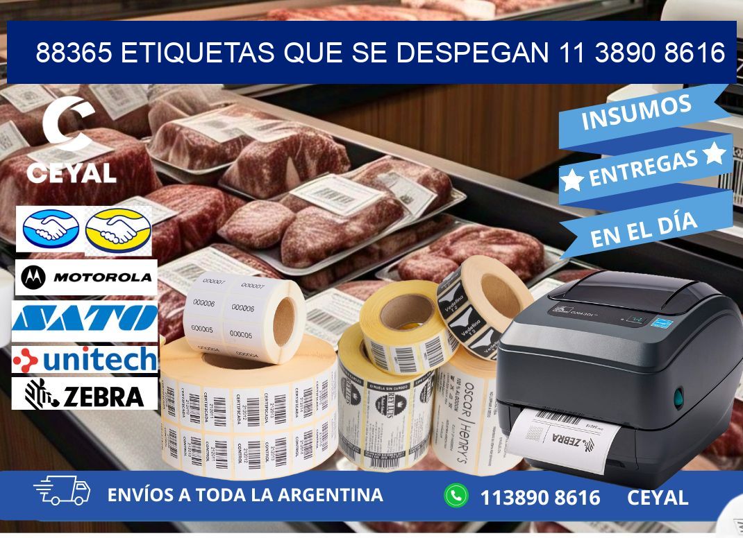 88365 ETIQUETAS QUE SE DESPEGAN 11 3890 8616