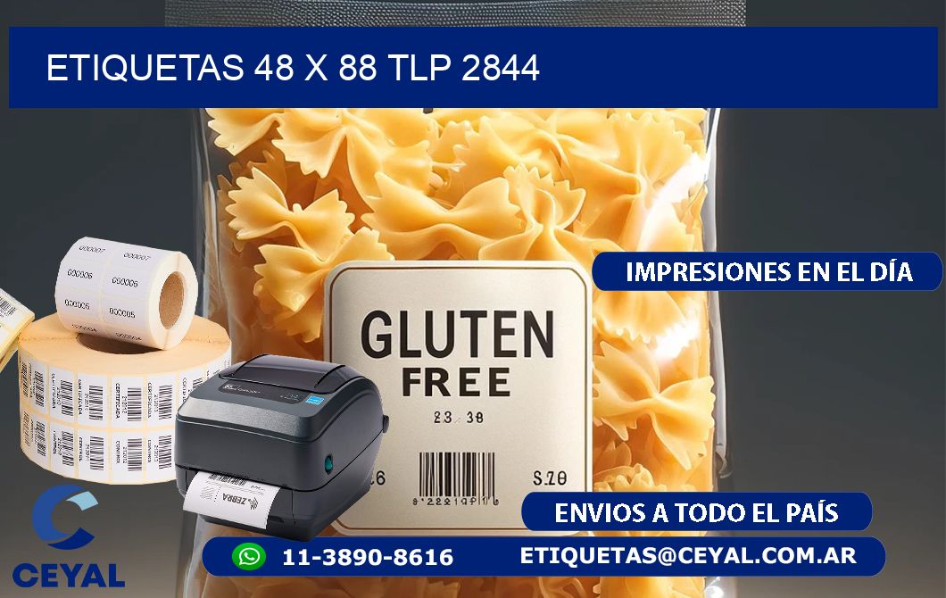 ETIQUETAS 48 x 88 TLP 2844
