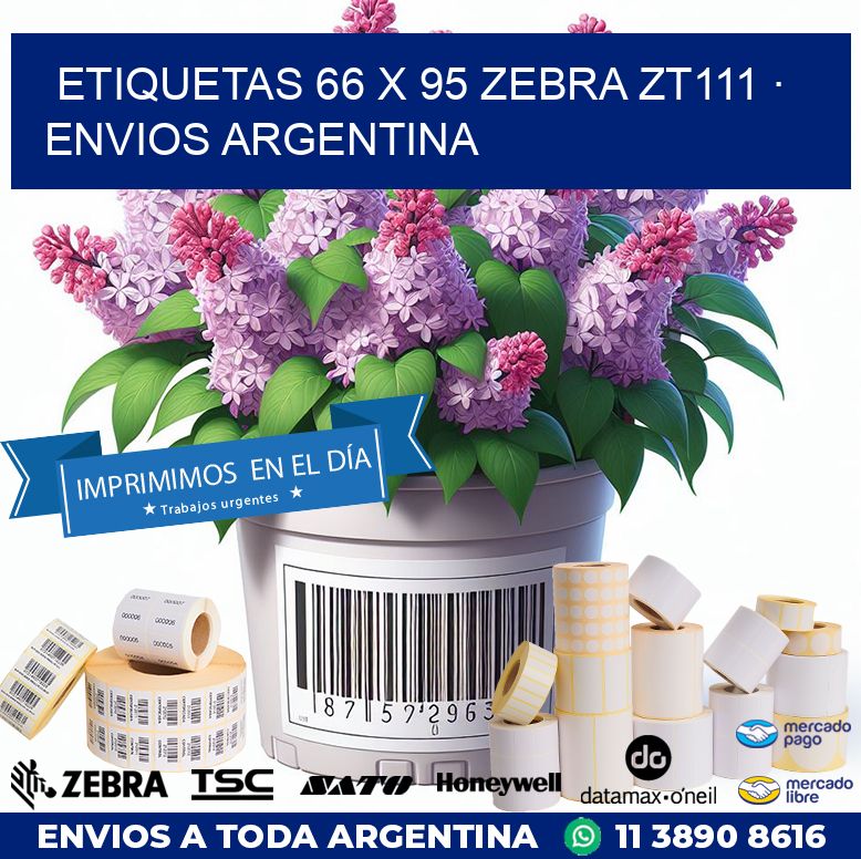 ETIQUETAS 66 x 95 ZEBRA ZT111 · ENVIOS ARGENTINA