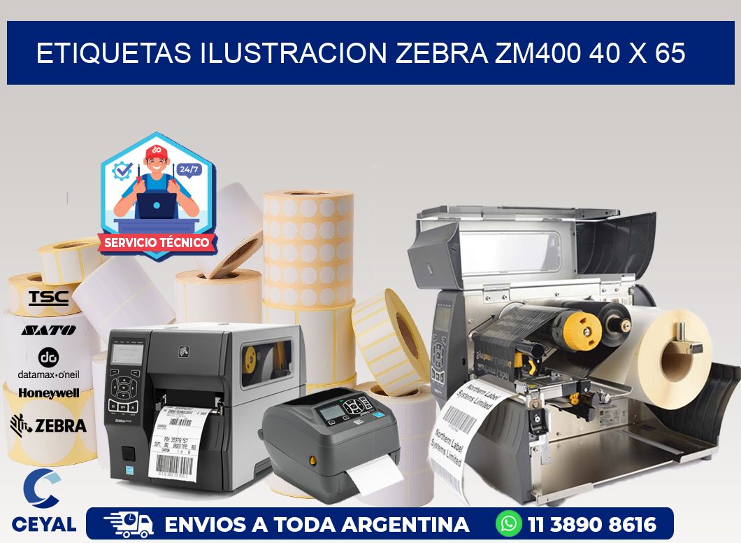 ETIQUETAS ILUSTRACION ZEBRA ZM400 40 x 65