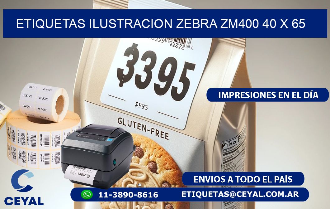 ETIQUETAS ILUSTRACION ZEBRA ZM400 40 x 65