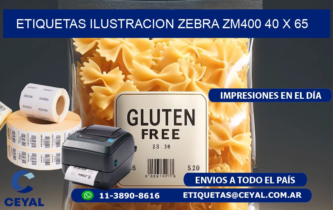 ETIQUETAS ILUSTRACION ZEBRA ZM400 40 x 65