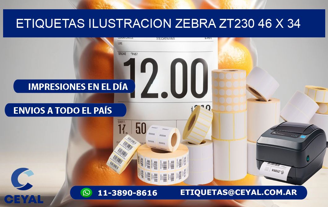 ETIQUETAS ILUSTRACION ZEBRA ZT230 46 x 34