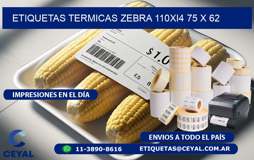 ETIQUETAS TERMICAS ZEBRA 110Xi4 75 x 62