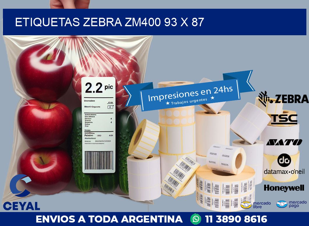 ETIQUETAS Zebra ZM400 93 x 87