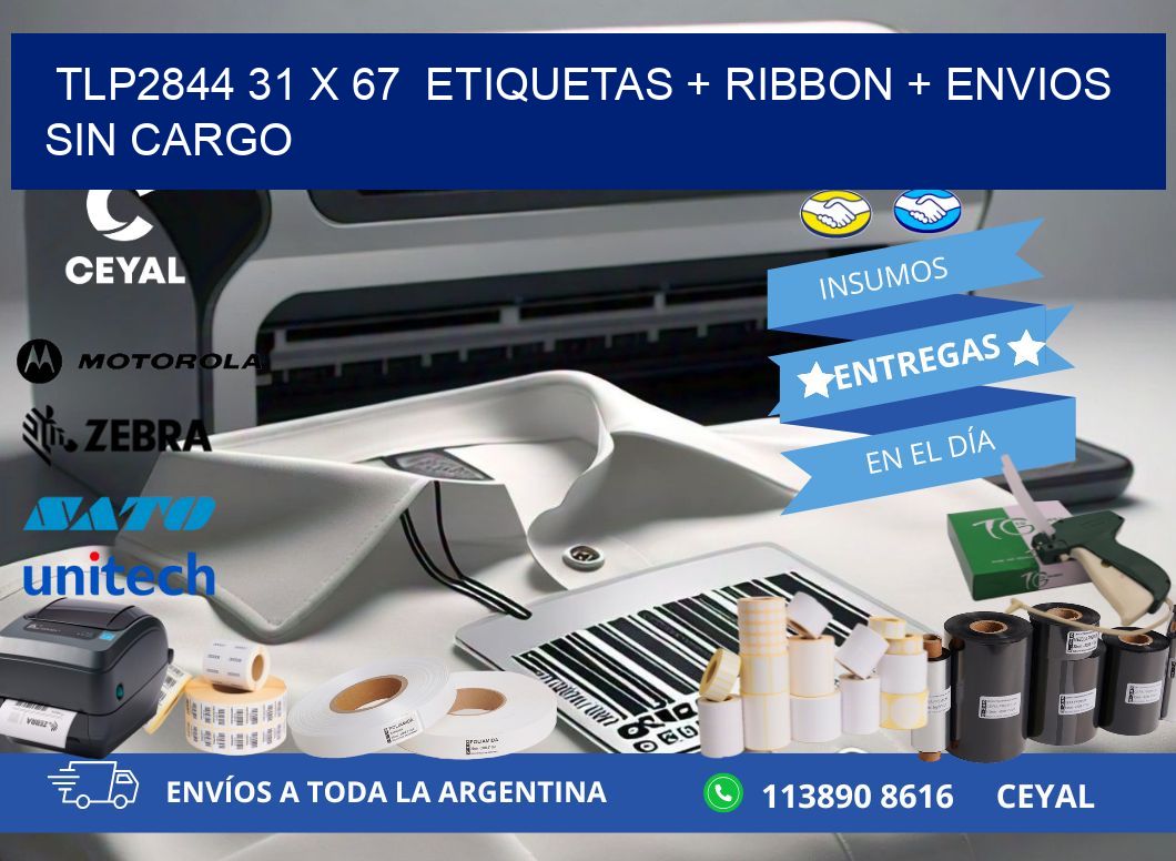 TLP2844 31 x 67  etiquetas + ribbon + envios sin cargo