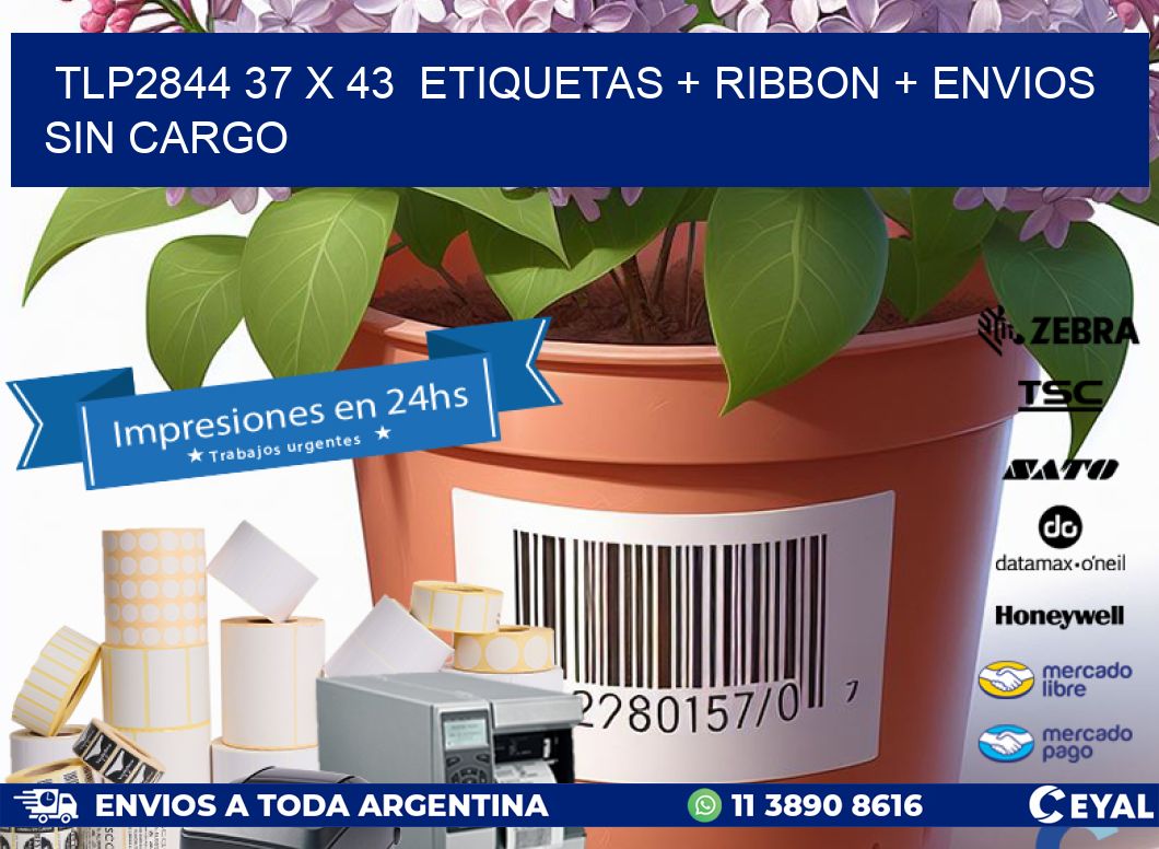 TLP2844 37 x 43  etiquetas + ribbon + envios sin cargo
