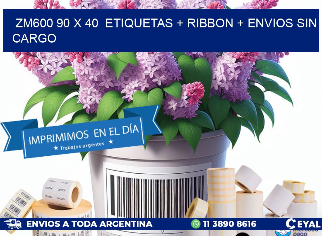 ZM600 90 x 40  etiquetas + ribbon + envios sin cargo