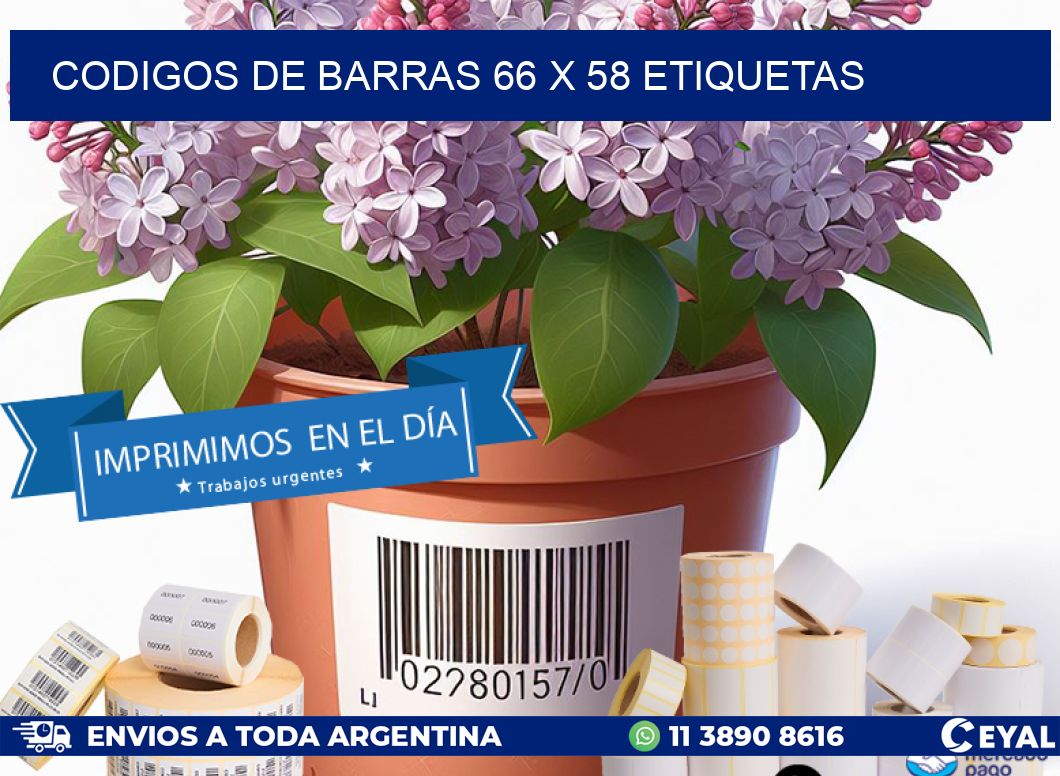 codigos de barras 66 x 58 etiquetas