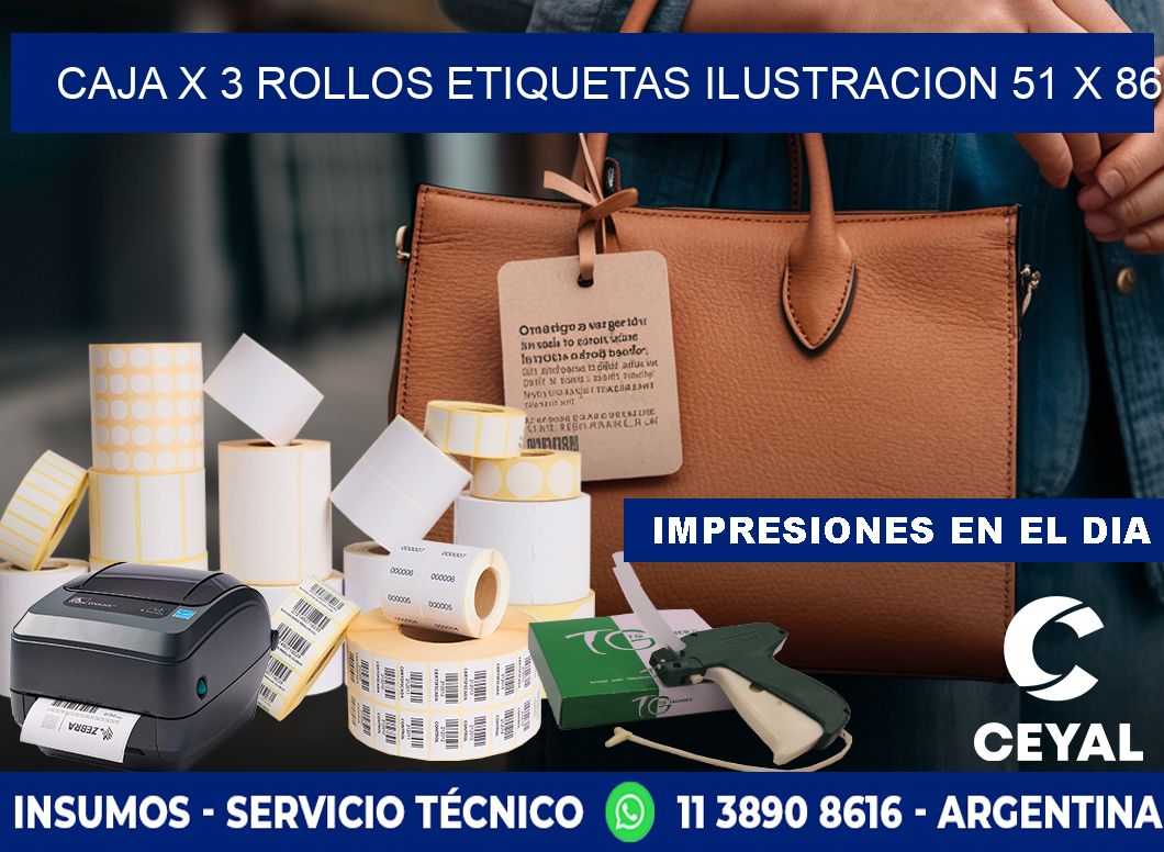 Caja X 3 Rollos Etiquetas Ilustracion 51 x 86