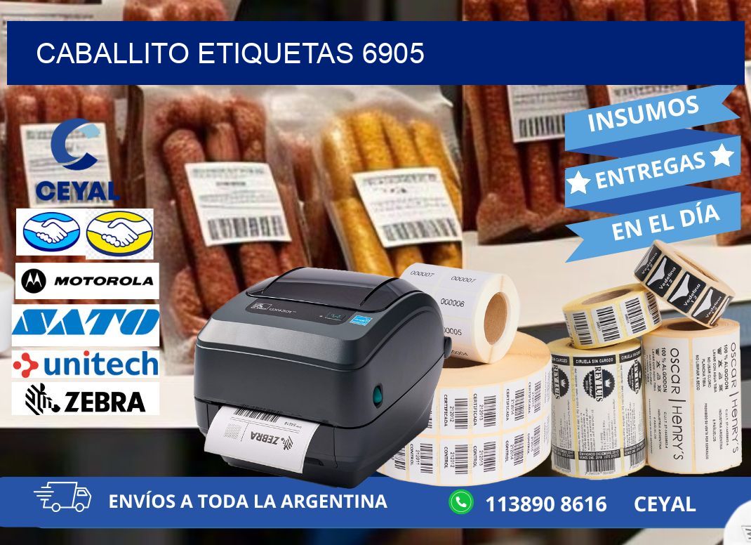 Caballito etiquetas 6905