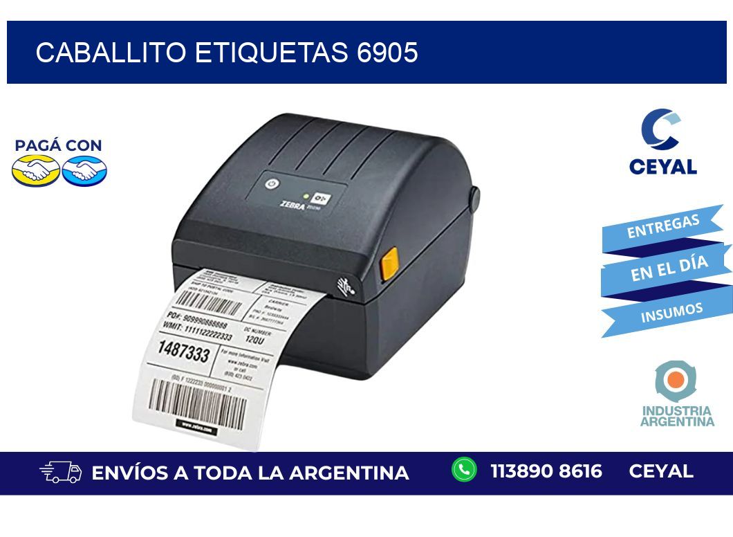 Caballito etiquetas 6905