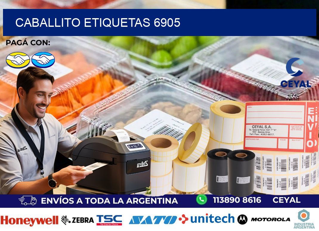 Caballito etiquetas 6905