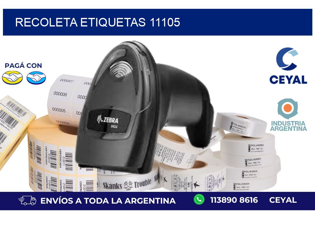 Recoleta etiquetas 11105