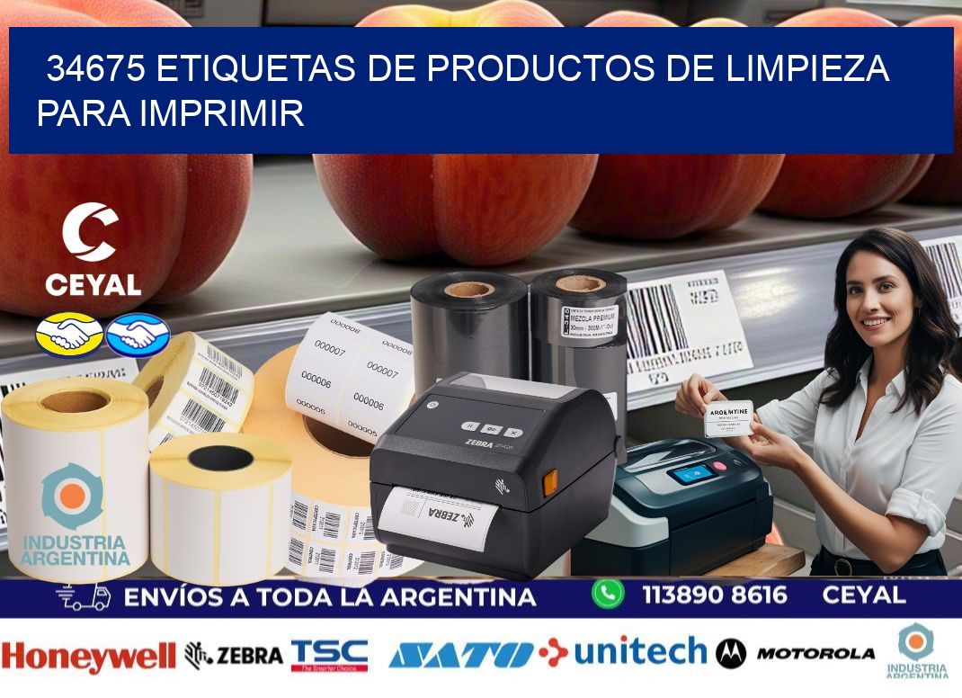 34675 Etiquetas de productos de limpieza para Imprimir