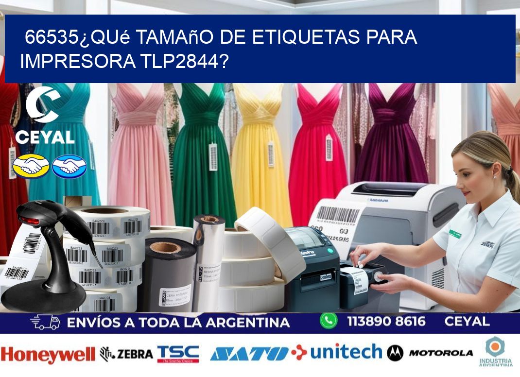 66535¿Qué tamaño de etiquetas para  impresora tlp2844?
