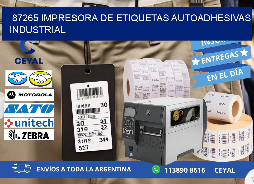 87265 Impresora de etiquetas autoadhesivas industrial