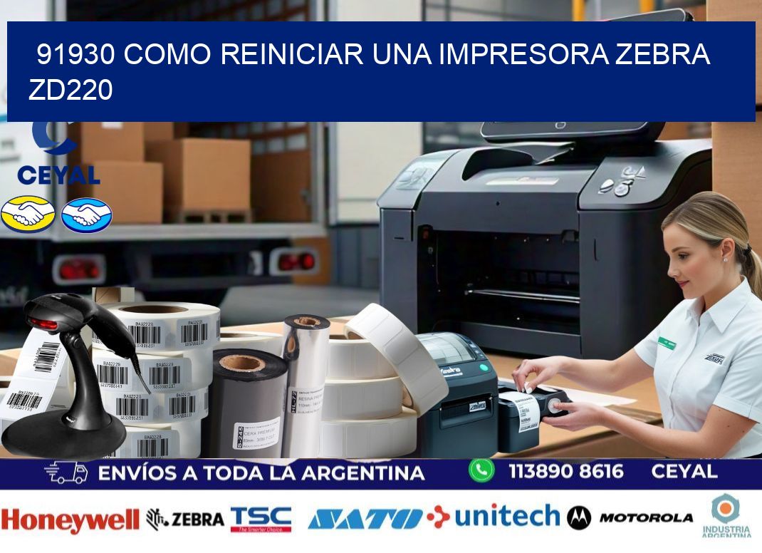 91930 Como reiniciar una impresora Zebra  ZD220