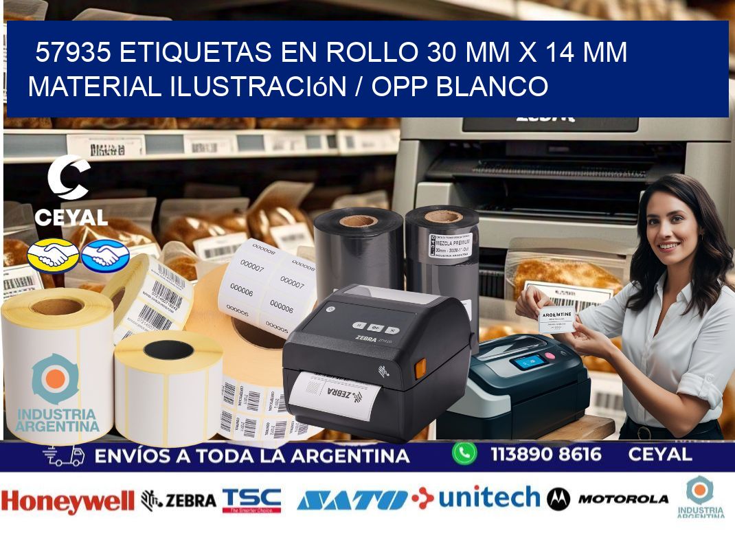 57935 Etiquetas en rollo 30 mm x 14 mm material Ilustración / OPP Blanco