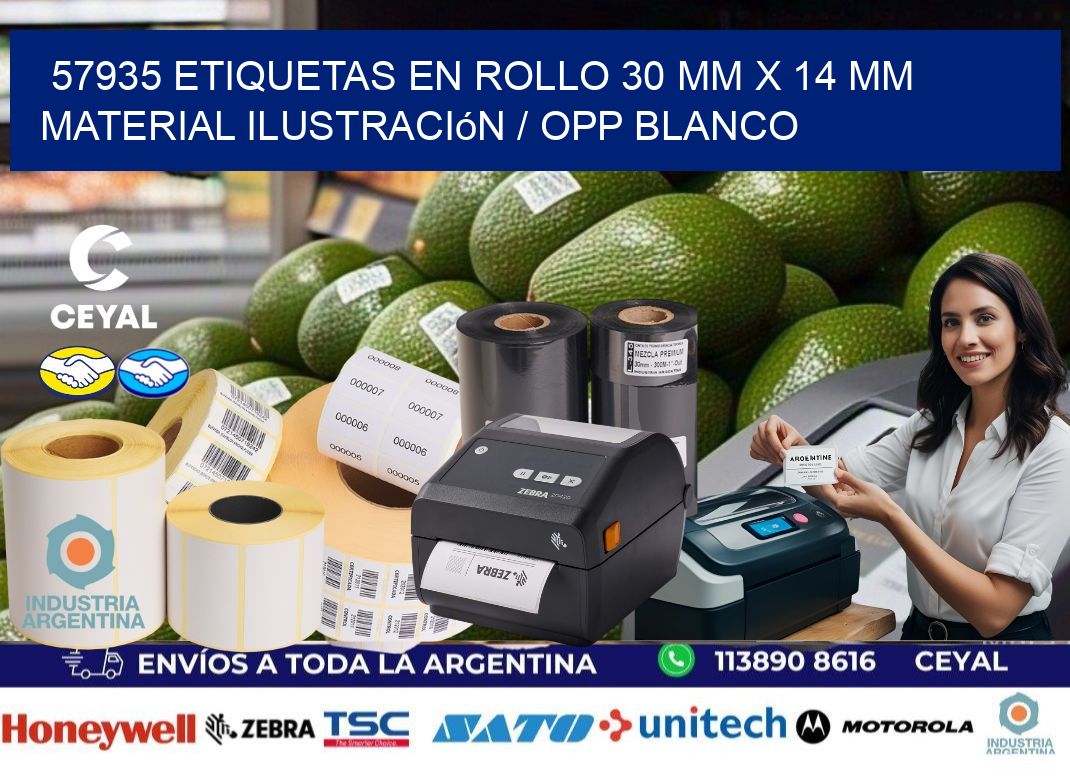 57935 Etiquetas en rollo 30 mm x 14 mm material Ilustración / OPP Blanco