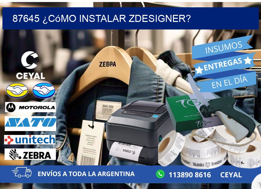 87645 ¿Cómo instalar ZDesigner?
