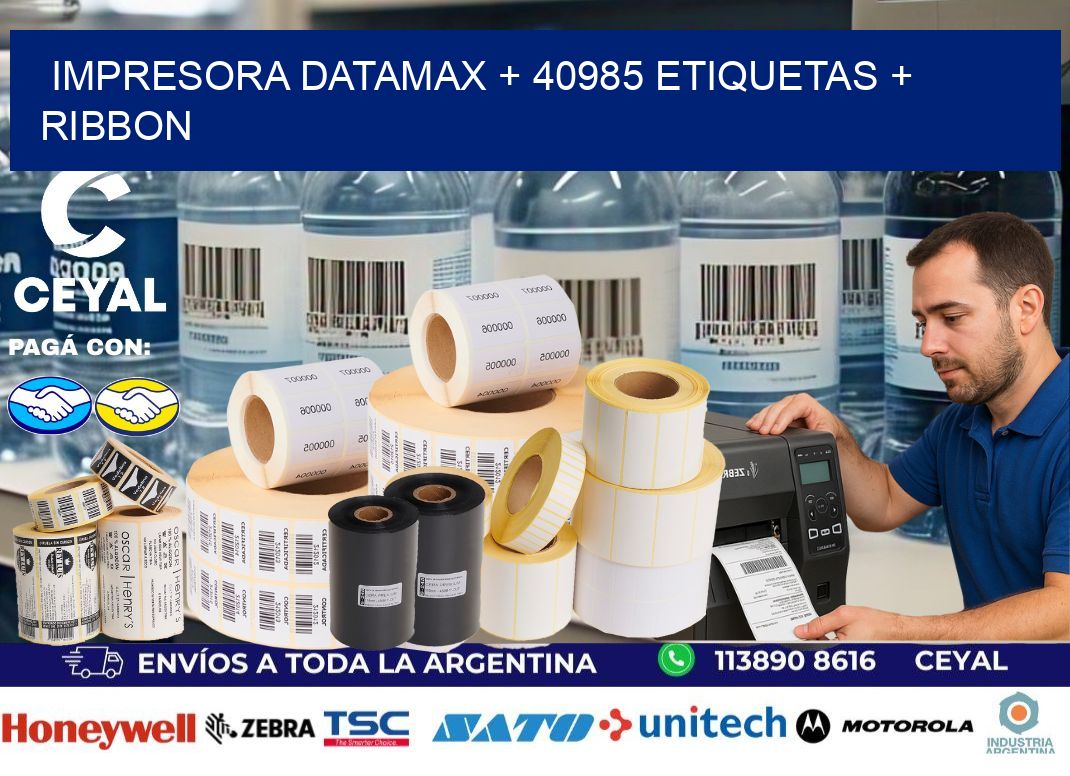 impresora DATAMAX + 40985 etiquetas + ribbon