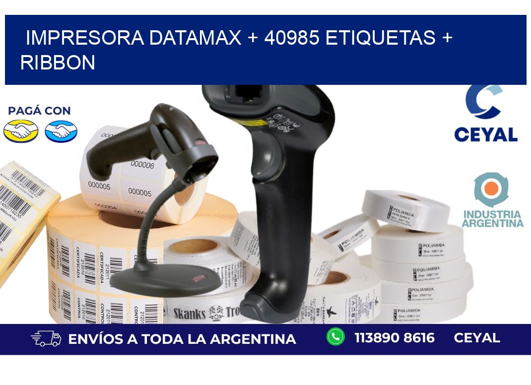 impresora DATAMAX + 40985 etiquetas + ribbon