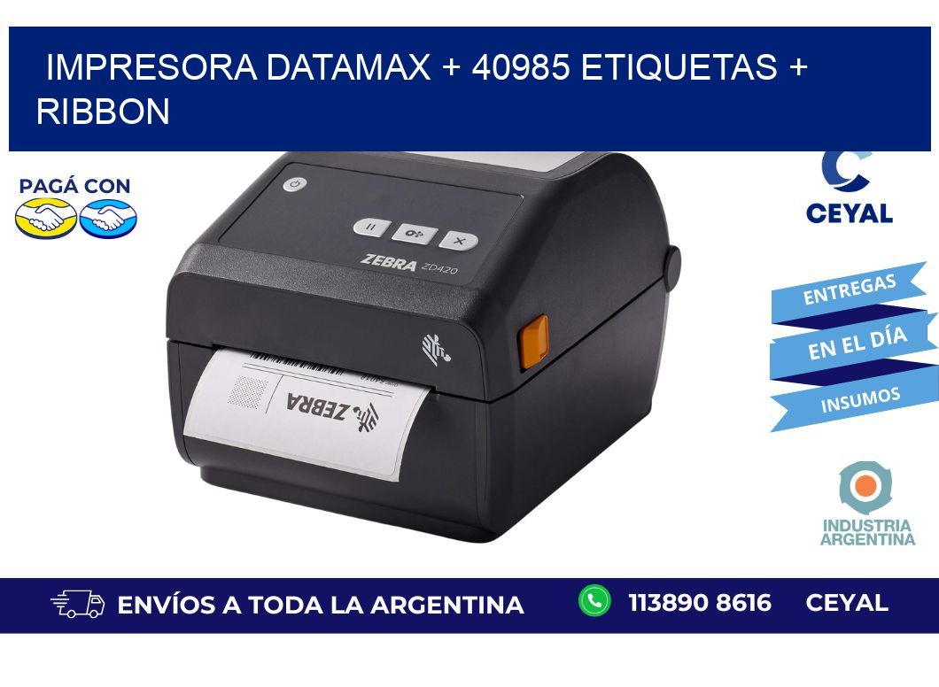 impresora DATAMAX + 40985 etiquetas + ribbon