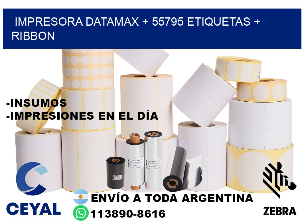 impresora DATAMAX + 55795 etiquetas + ribbon