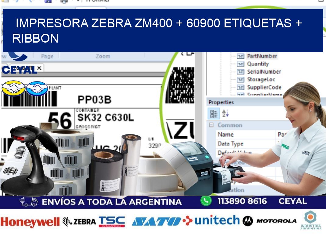 impresora zebra zm400 + 60900 etiquetas + ribbon